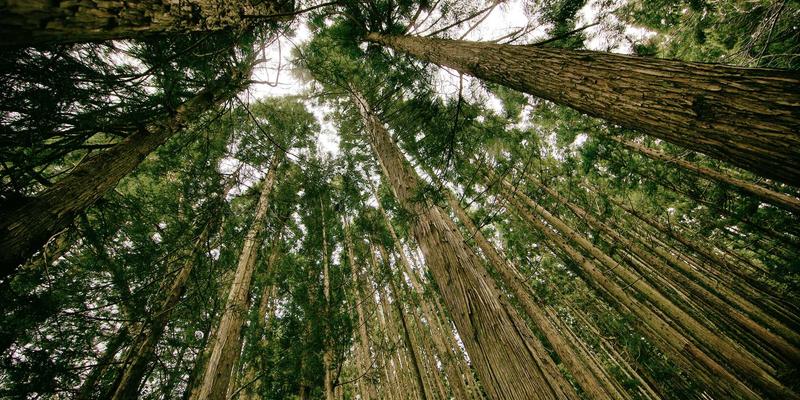 Apache Kafka如何赋能金融风控：驱动移动应用、网站建设与云计算的实时决策引擎