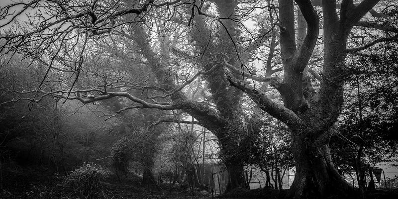 Serverless架构冷启动优化：企业软件与网站建设中的后端响应速度革命