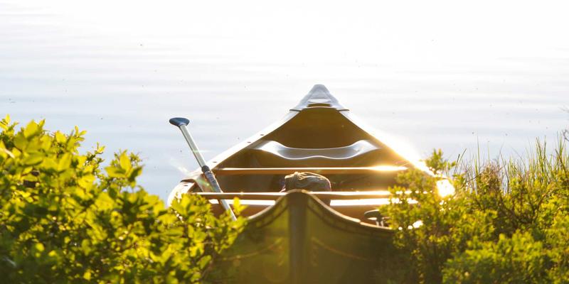 Web 3.0时代：核心技术栈如何重塑网站建设与软件开发，以及DID的变革前景