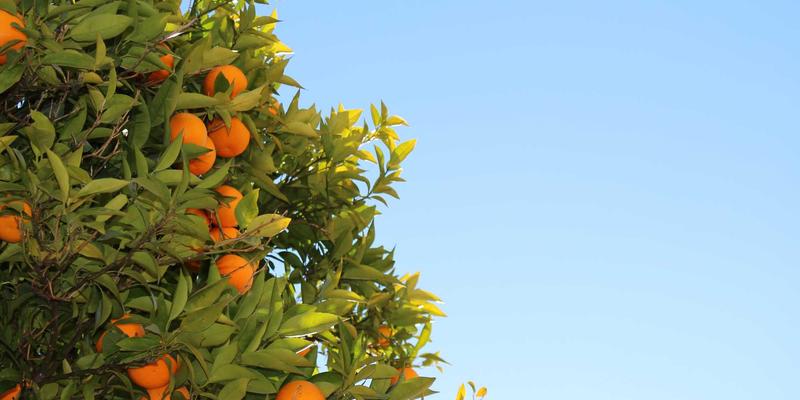 互联网技术36：网站建设与企业软件的融合创新之路