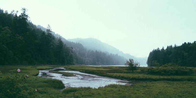 互联网技术前景展望：软件开发、网站建设与云计算的融合创新