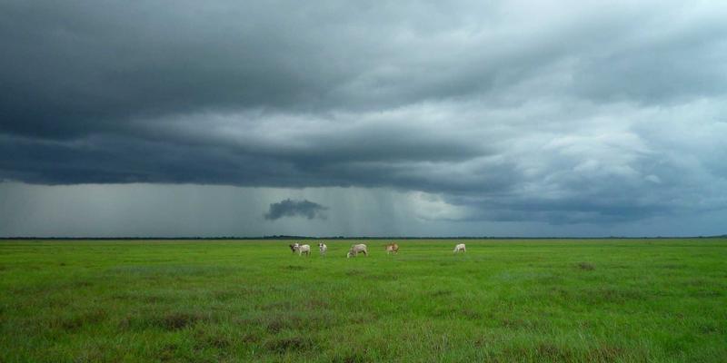 从企业软件到移动应用：异构计算如何重塑AI大模型开发的基础设施