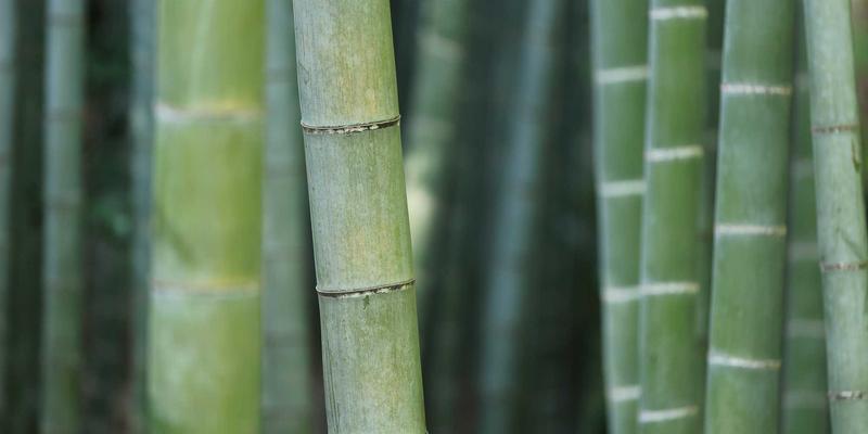 企业数字化转型基石：软件开发、企业软件与网站建设入门指南