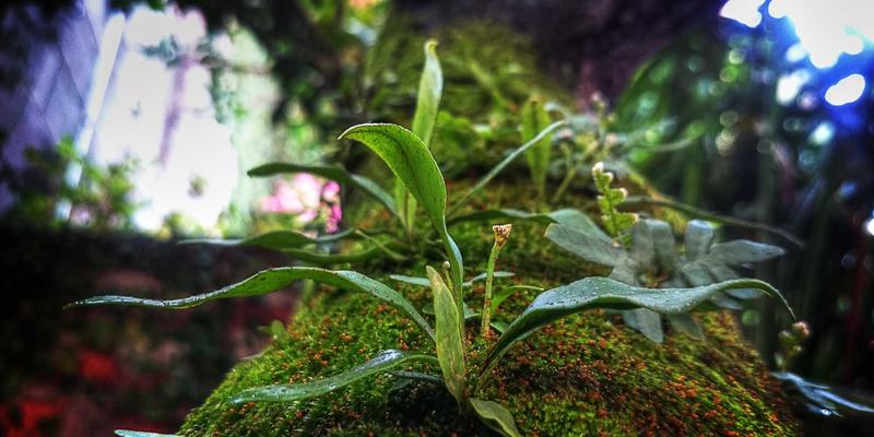 低代码/无代码平台：云计算与4947科技如何赋能业务人员重塑移动应用开发