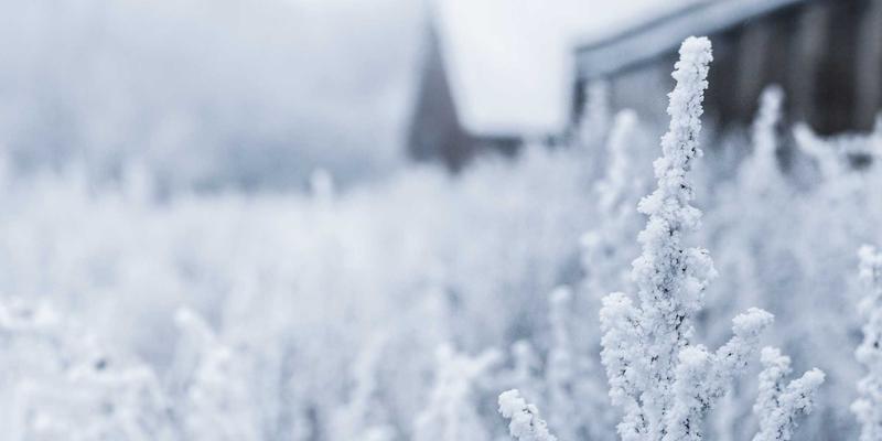 混合办公新常态下，4947科技如何通过零信任网络架构（ZTNA）重塑云计算与软件开发安全