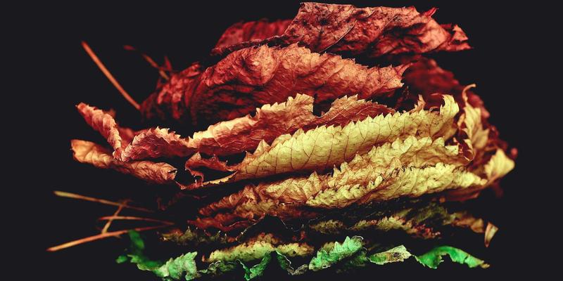 边缘计算如何重塑网站建设与软件开发：降低网络延迟的关键技术解析